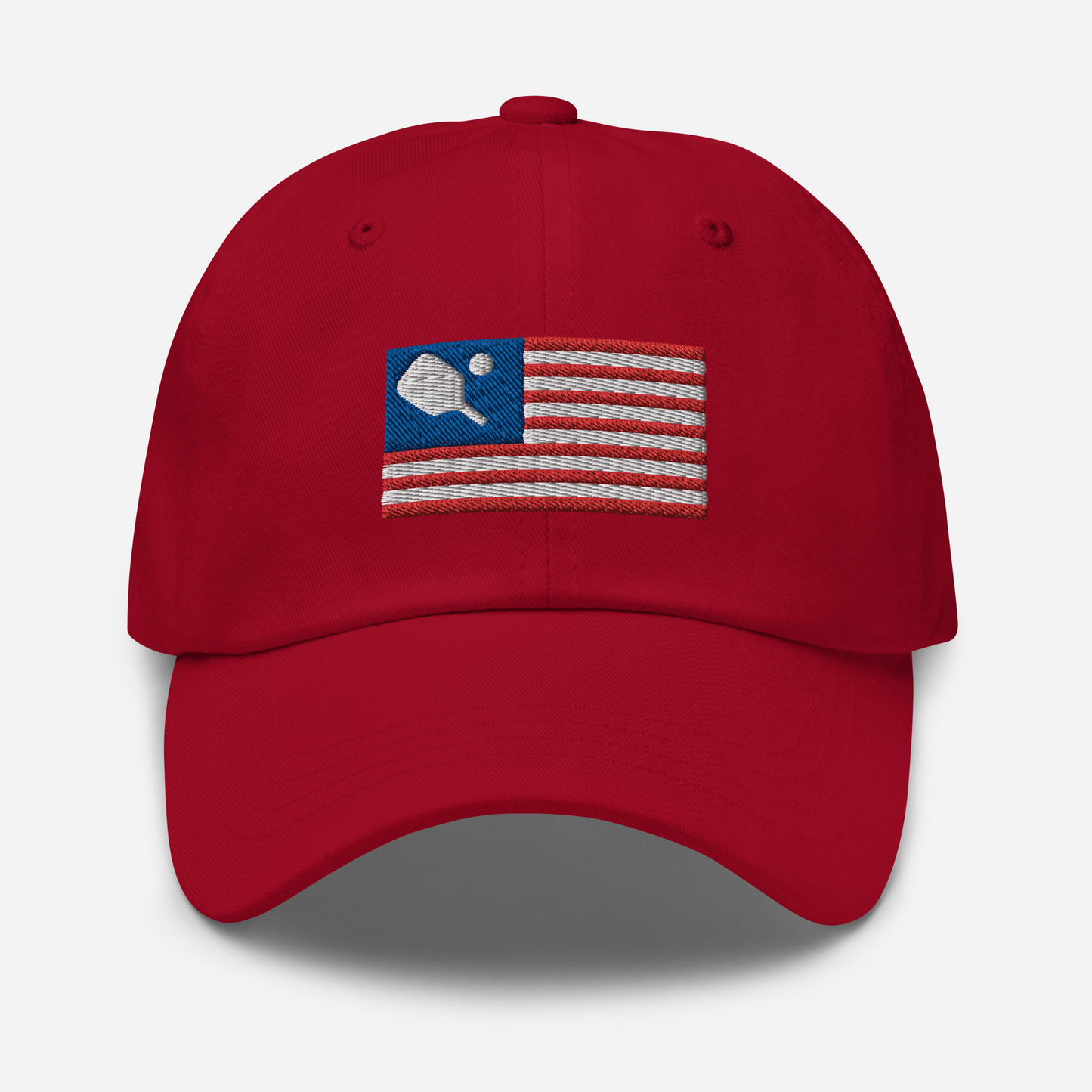 American Flag Pickleball Hat